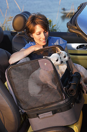 Auto Cruiser Pet Car Seat